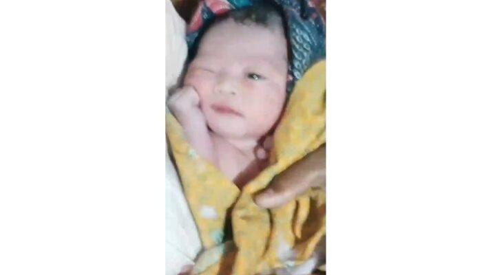 Bayi Perempuan Ditemukan Dekat Kandang Kambing di Situbondo